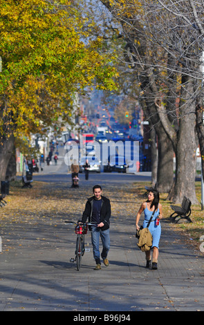 Les montréalais de Park Avenue, au cours de la saison d'automne Montréal Canada Banque D'Images