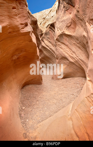 Murs de grès peu Wild Horse Canyon Utah USA Banque D'Images