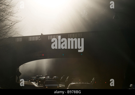 Pont rétroéclairé dans le brouillard, parc Stanley, Vancouver (Colombie-Britannique) Banque D'Images