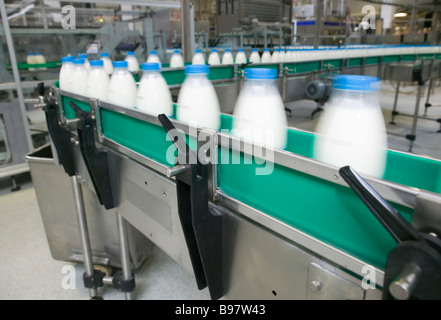 Convoyeur de l'usine laitière avec des bouteilles de lait Banque D'Images