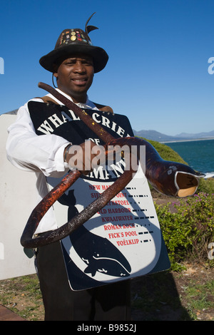 Crieur Hermanus baleine Western Cape Afrique du Sud Banque D'Images