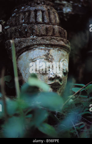Placid visage de bouddha, statue in forest Banque D'Images