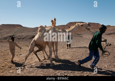 L'Afrique de l'Ouest Mauritanie Route de l espoir Nema fin de la route Banque D'Images