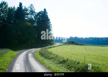 Route de terre dans la campagne Banque D'Images