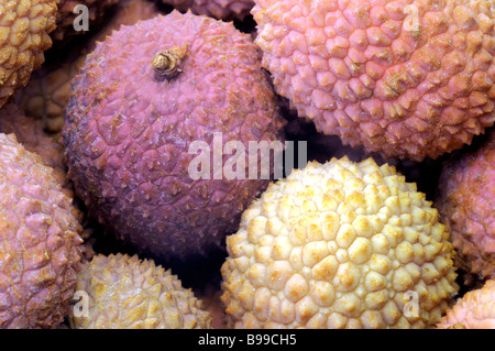 Litchi (Litchi chinensis), fruits vu de dessus Banque D'Images