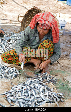 Kompong Chhang Village de pêcheurs situé sur la rivière Tonle Sap au nord de Phnom Penh au Cambodge Banque D'Images