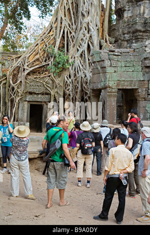 Strangulosa Ficus arbre qui pousse sur une porte dans les anciennes ruines de Ta Prohm au site d'Angkor Wat au Cambodge Banque D'Images