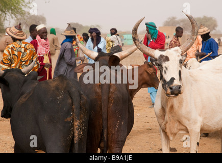 L'Afrique de l'Ouest Sahel Burkina Fasso Gorom Gorom l'un des plus grands marché hebdomadaire au Sahel Banque D'Images