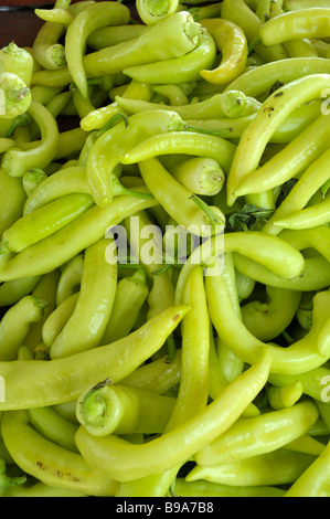 Piments bananes jaunes produire l'affichage à l'agriculteur le marché aux puces de Floride Banque D'Images