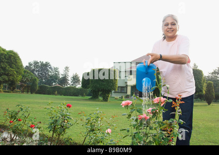 Woman watering plants rose, New Delhi, Inde Banque D'Images