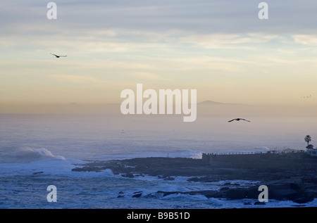 Misty mers et des pics de montagne : une aube vue de la Table Bay à partir de la région de la baie de Bantry de Cape Town, Afrique du Sud Banque D'Images