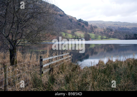 Avis de Rydal Water, Lake District, Cumbria Banque D'Images