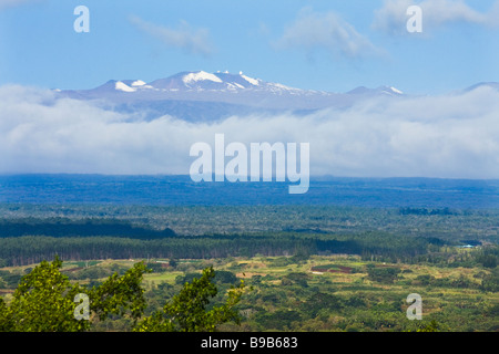 Vue du Mauna Kea à Hawaii - Big Island, Hawaii, USA Banque D'Images