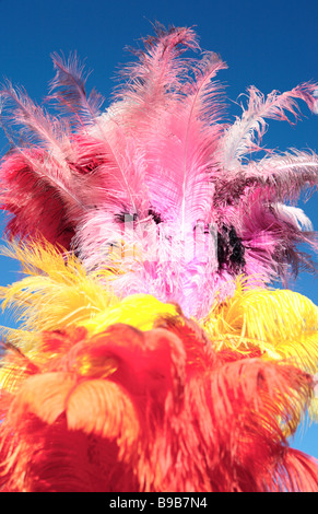 Plumes d'Autruche Banque D'Images