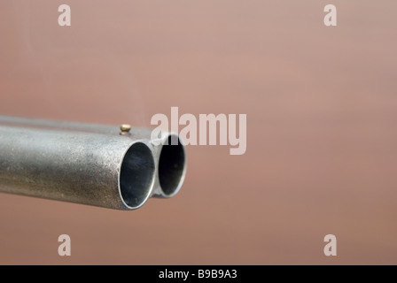 Carabine canon double fumeurs Banque D'Images