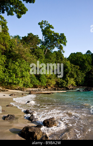 Lavage des vagues sur la plage de Playa Puerto Escondido en Parc National Manuel Antonio, Costa Rica. Banque D'Images