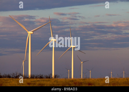 Tôt le matin à l'éoliennes produisant de l'énergie électrique à Horse Hollow Wind Farm Nolan County Texas Banque D'Images