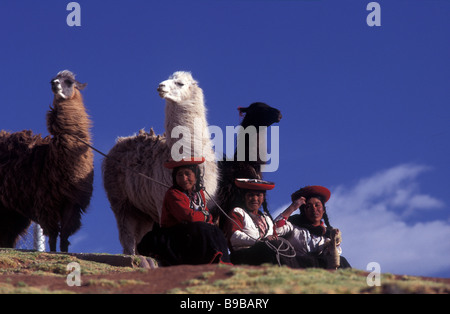 Les femmes indiennes Quechua laine de lama de filature et tendant leurs lamas Sacsayhuaman Cuzco Banque D'Images