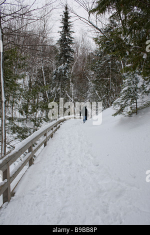 Hiver beau paysage forêt enneigée dérive neige chute de neige aux États-Unis style de vie quotidien d'au-dessus de la tête la personne de derrière le dos haute résolution Banque D'Images