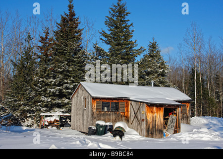 Beau paysage neige dérives enneigées chalet rural couvert neige forêt d'hiver ciel bleu personne de Country side Michigan mi USA horizontal US haute résolution Banque D'Images