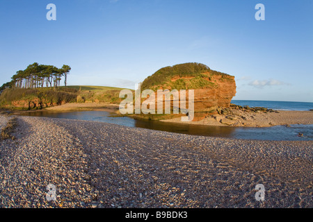 Otterton des corniches et la loutre de rivière dans la lumière du soir Budleigh Salterton Devon West Country England UK Royaume-Uni GB Great Britai Banque D'Images