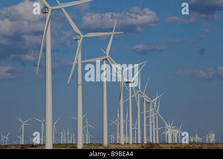 Éoliennes produisant de l'électricité à Horse Hollow Wind Farm Nolan Texas le plus grand projet d'énergie éolienne. Banque D'Images