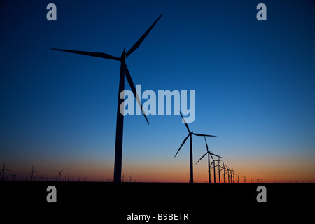 Plus de crépuscule éoliennes produisant de l'électricité à Horse Hollow Wind Farm Nolan Texas Banque D'Images