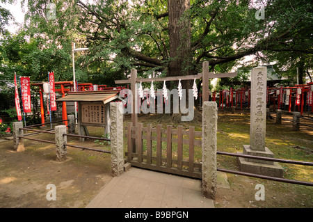 Grand gingko arbres. Kishimojindo culte au Temple Zoshigaya. Minami-Ikebukuro. Shibuya. Tokyo. Le Japon Banque D'Images