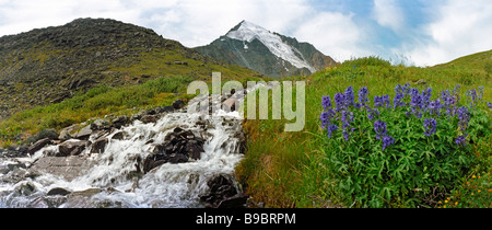 The Ak-Oyuk River and the Katun Ridge.  The Altai Mountains, Siberia, Russian Federation Banque D'Images