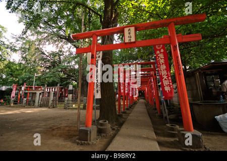 Torii vermillon. Kishimojindo culte au Temple Zoshigaya. Minami-Ikebukuro. Shibuya. Tokyo. Le Japon Banque D'Images