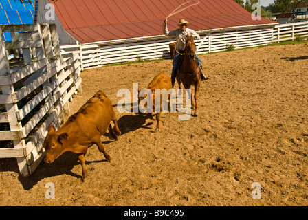 Avec : l'arrondissement de bétail dans le parc historique de George Ranch pen texas Houston Tx attraction touristique American cowboy histoire Banque D'Images