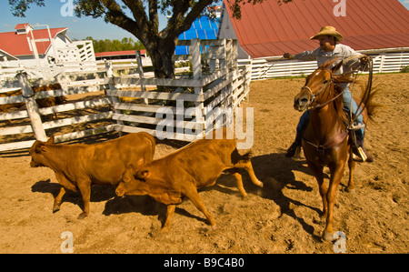 Avec : l'arrondissement de bétail dans le parc historique de George Ranch pen texas Houston Tx attraction touristique American cowboy histoire Banque D'Images