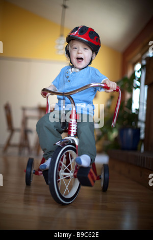 Tout-petit cheval un tricycle autour de la maison Banque D'Images