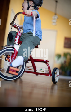 Tout-petit cheval un tricycle autour de la maison Banque D'Images