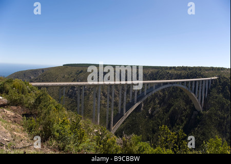 Rivière Bloukrans bridge 216 m plus haut saut à l'endroit dans le monde Banque D'Images