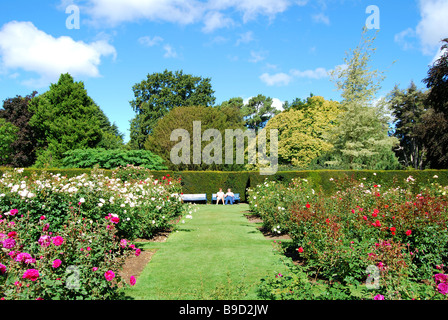 Le centre de Rose Garden, jardins botaniques, Christchurch, Canterbury, île du Sud, Nouvelle-Zélande Banque D'Images