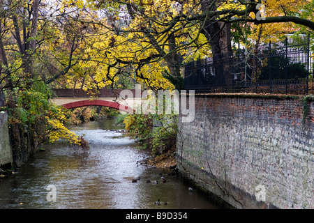 Vue de la rivière Certovka à Prague avec pont sur contexte à l'automne. Banque D'Images