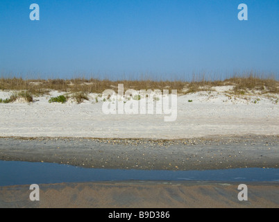 Amelia Island, plage de dunes de Fort Clinch State Park en Floride Banque D'Images