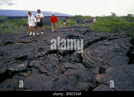 Visite guidée, groupe touristique, pahoehoe lave, l'île de Fernandina, l'Île Narborough, Province de Galápagos, îles Galapagos, Equateur, Amérique du Sud Banque D'Images