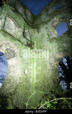 L'atmosphère étrange et grande Abbey Ruins à Bishop's Waltham Banque D'Images