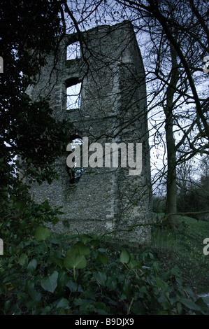 L'atmosphère étrange et grande Abbey Ruins à Bishop's Waltham Banque D'Images