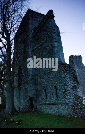 L'atmosphère étrange et grande Abbey Ruins à Bishop's Waltham Banque D'Images