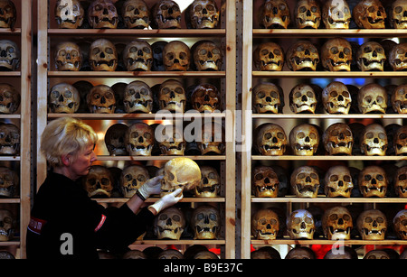 Plastination, Lindow, Allemagne Banque D'Images