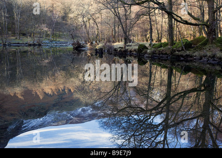 Réflexions d'hiver dans la rivière Derwent circulant dans la région de Borrowdale Lake District Banque D'Images