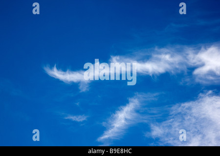 Puffy blanc nuages sur un ciel bleu du Colorado jour Banque D'Images