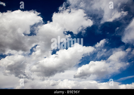 Puffy blanc nuages sur un ciel bleu du Colorado jour Banque D'Images