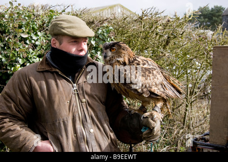 Eagle Owl Bubo bubo européenne avec son gardien Banque D'Images