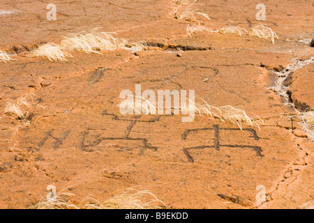 Puako pétroglyphes - Mauna Lani Resort, Kohala Coast, Big Island, Hawaii, USA Banque D'Images