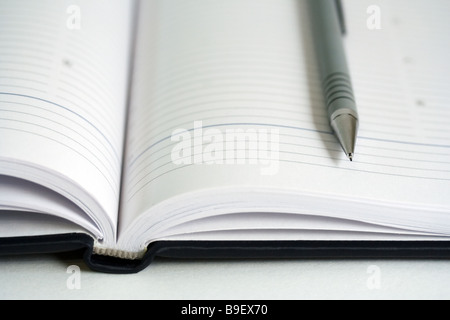 Ordinateur portable et stylo à bille. Banque D'Images