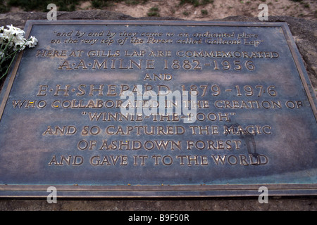 Plaque commémorative pour AA Milne et EH Shepard dans la forêt d'Ashdown, East Sussex, UK Banque D'Images